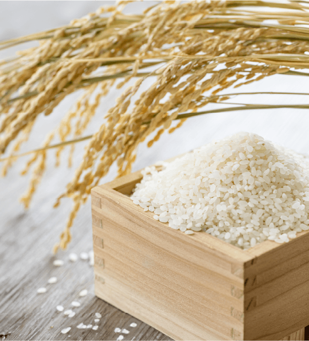 お米の里たけのうち